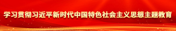 操逼库学习贯彻习近平新时代中国特色社会主义思想主题教育